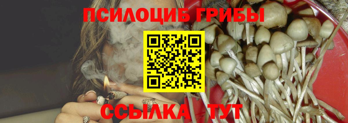 Галлюциногенные грибы MAGIC MUSHROOMS  Псилоцибиновые грибы Cubensis  Ростов-на-Дону  где продают   Вход с VPN 